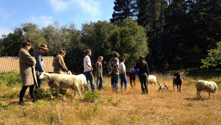 Hello From the Summer 2015 Term of Farm School!!