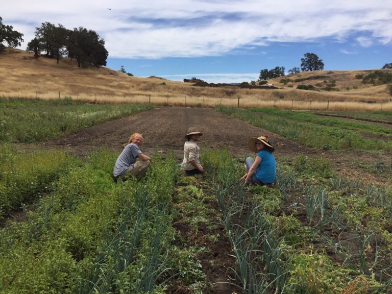 Laytonville, Covelo, Potter Valley Field Trips