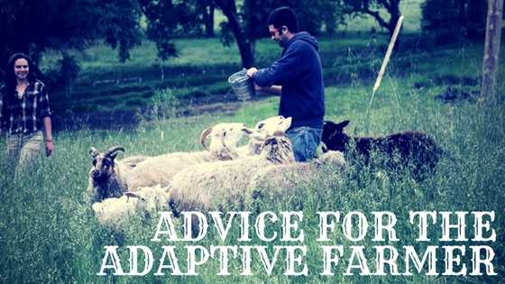 Advice for the Adaptive Farmer