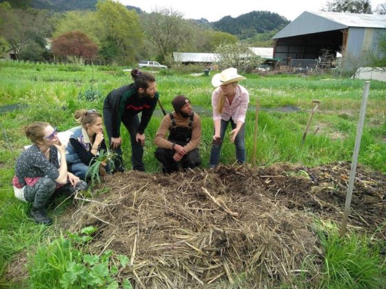 Rachel teaching soil science