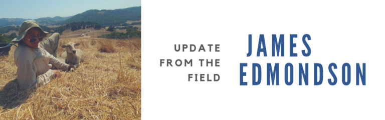 Update From The Field: James Edmondson (SAA alumnus)